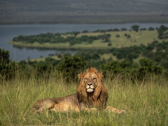 Best Time to Visit Akagera National Park | Tourist Attraction i