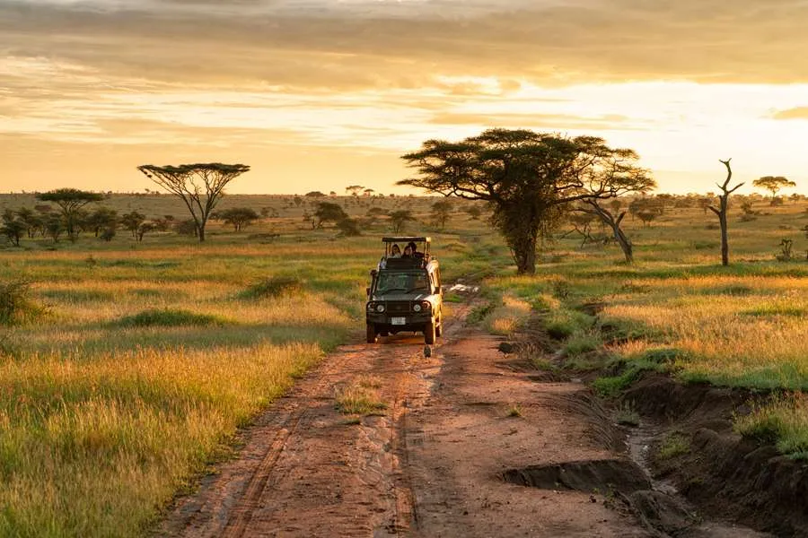 Best African Safari Countries