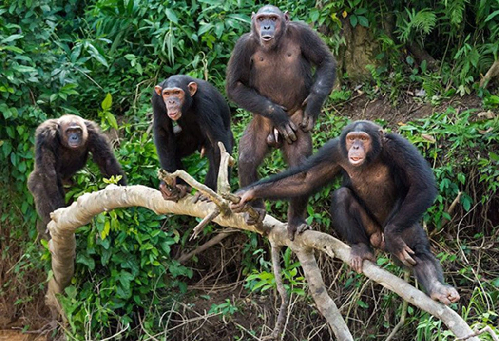 Best Places of Interest in Queen Elizabeth National Park Uganda