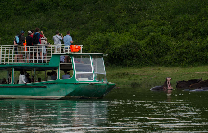 Queen Elizabeth National Park | Kazinga Channel Boat Safari