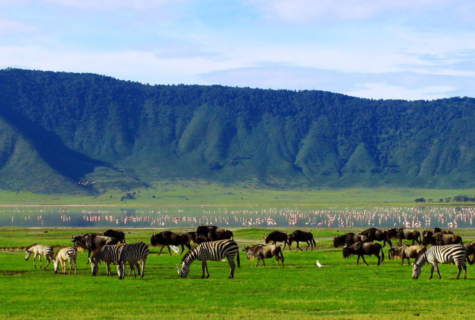 Ngorongoro Crater