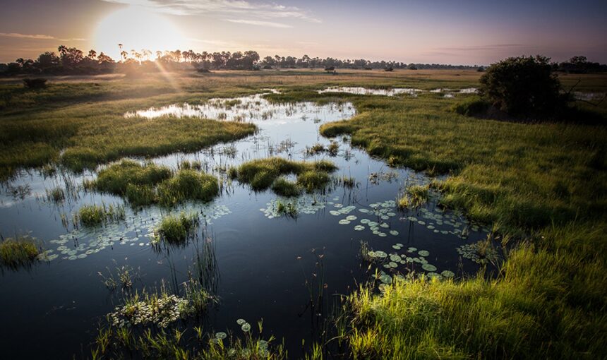Okavango Delta