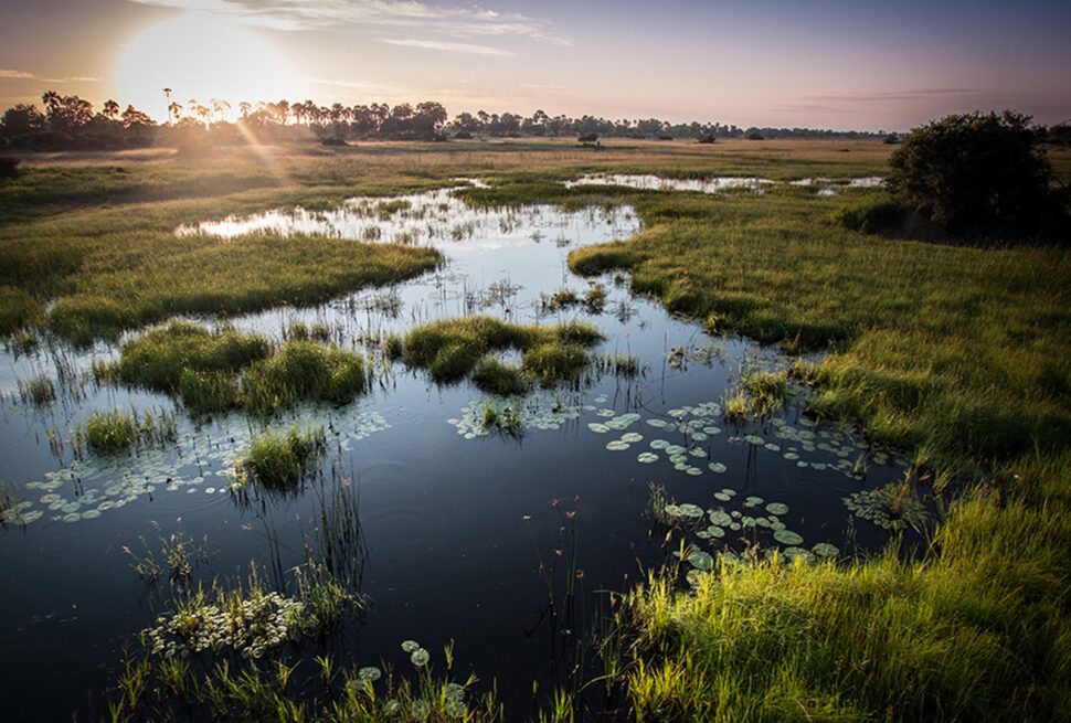 Okavango Delta