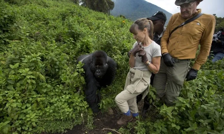 1 Day Rwanda Gorilla Tour