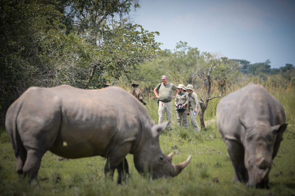 12 Days Uganda Gorilla Tour