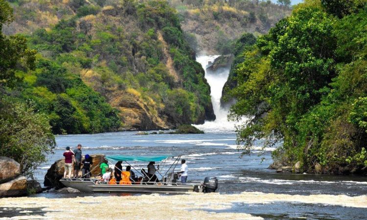 Why Book this 12 Days Uganda Gorilla Tour