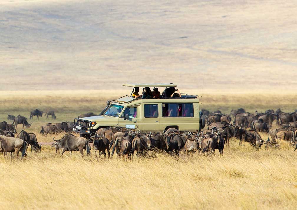4 Days Serengeti National Park Safari