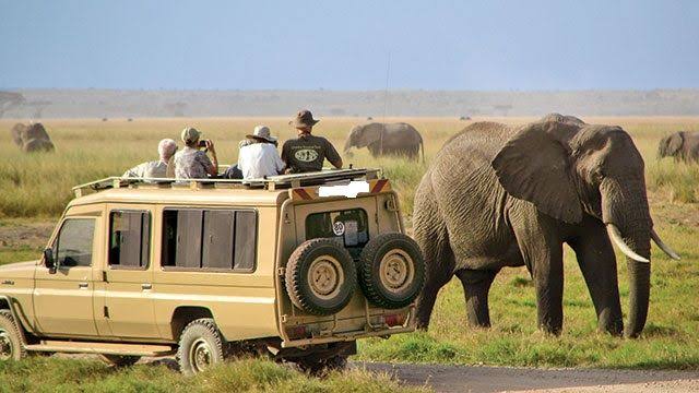 Day 2: Full Day Game Drive in the Heart of the Serengeti