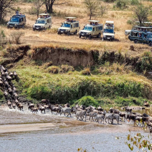 6 Days Great Migration Tour