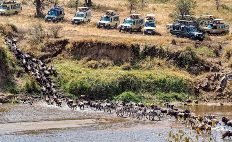 6 Days Great Migration Tour