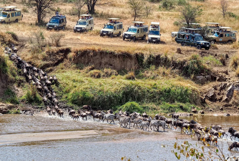 6 Days Great Migration Tour