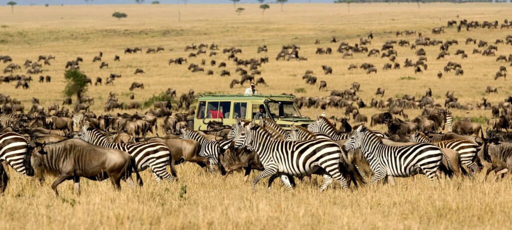 6 Days Great Migration Tour
