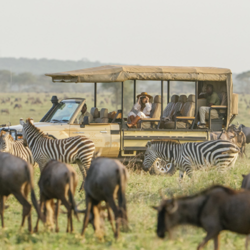 8 Days Luxury Serengeti & Zanzibar