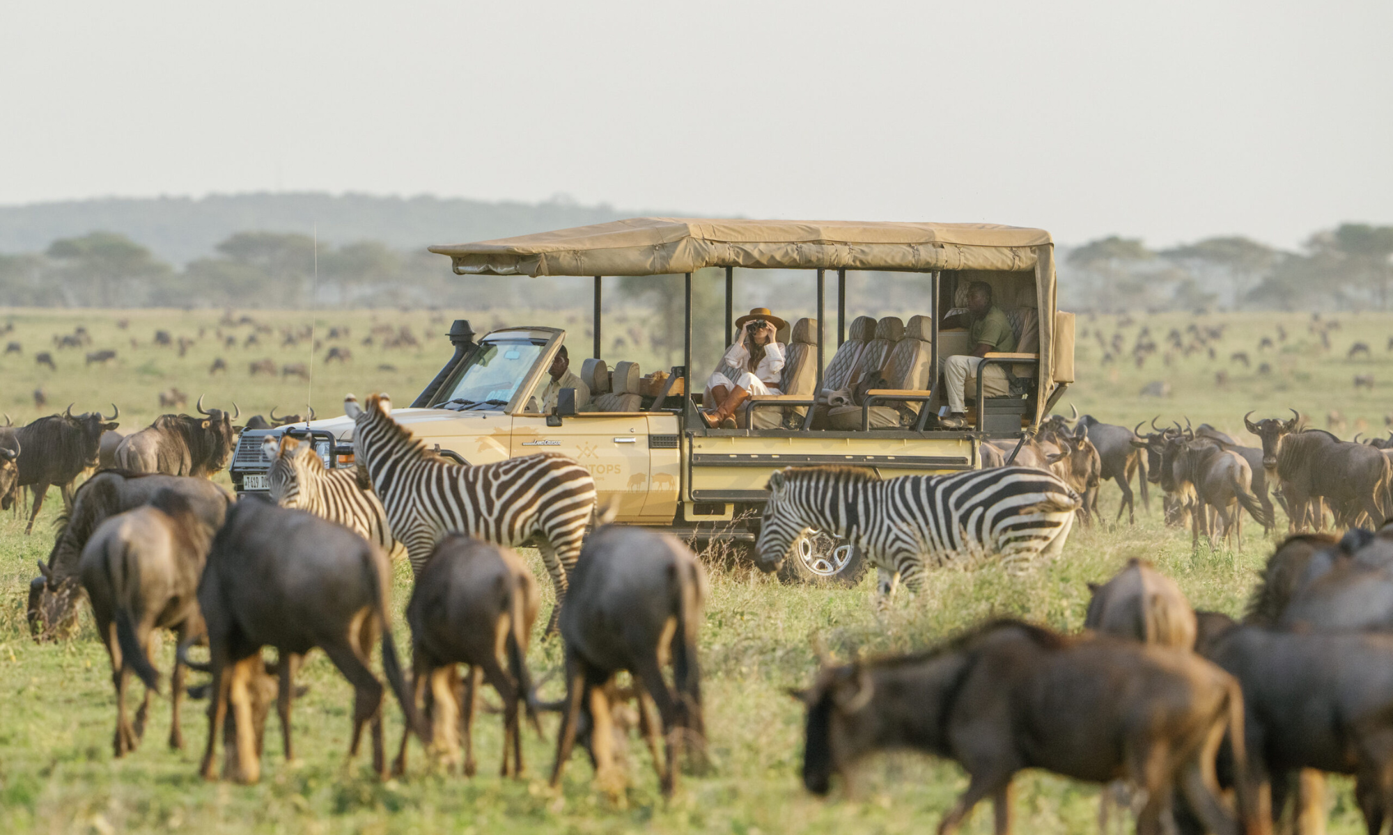 8 Days Luxury Serengeti & Zanzibar