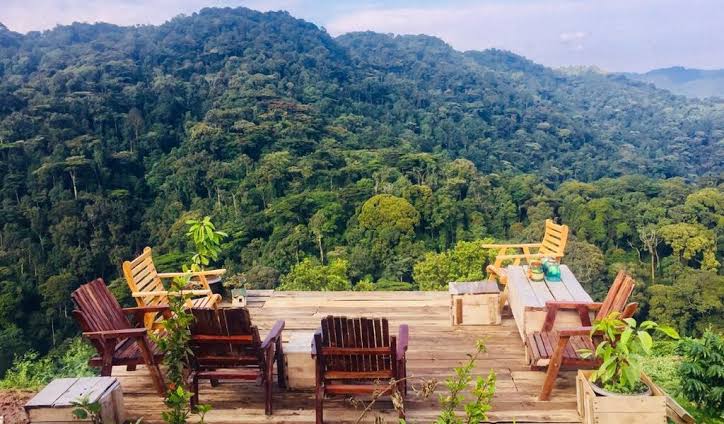 Where to Stay – Best Lodges by Sector & Budget