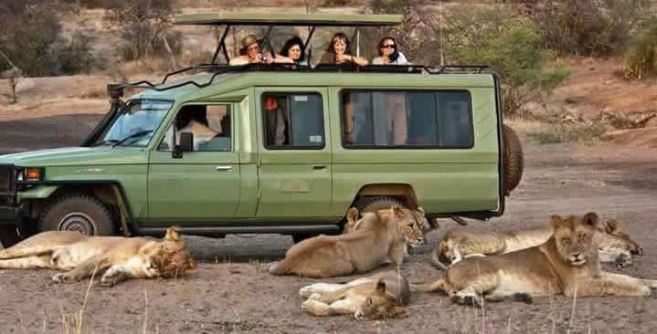 12 Days Uganda Gorilla Tour | Game Drive in Queen Elizabeth National Park