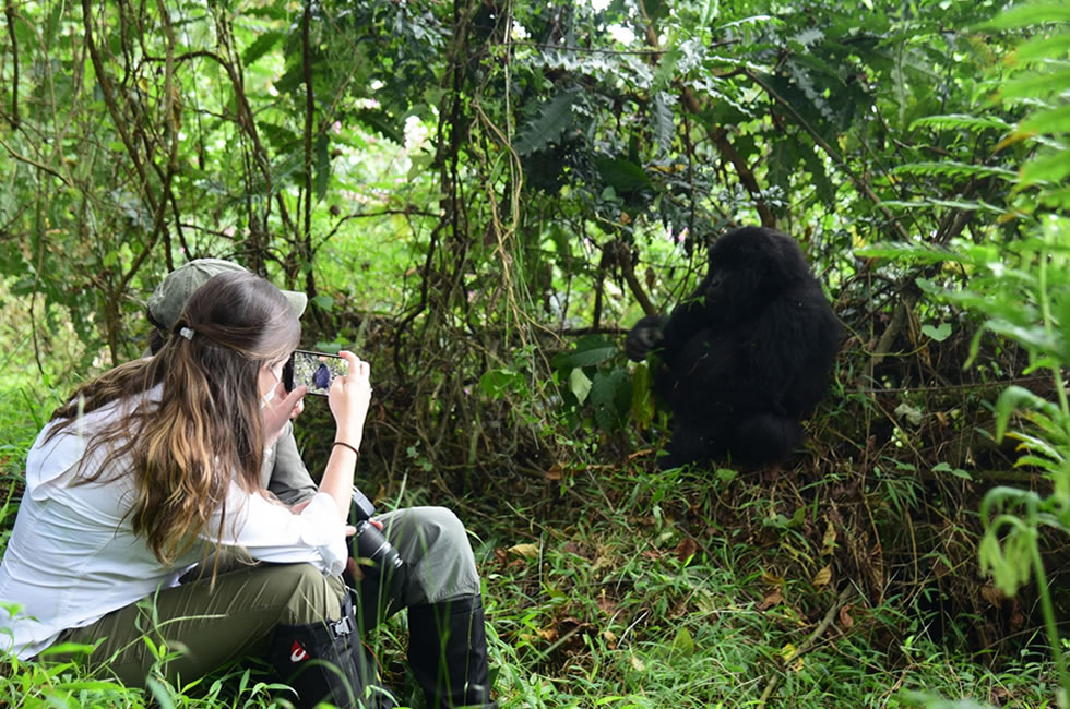 4 Days Bwindi Gorillas & Lake Bunyonyi