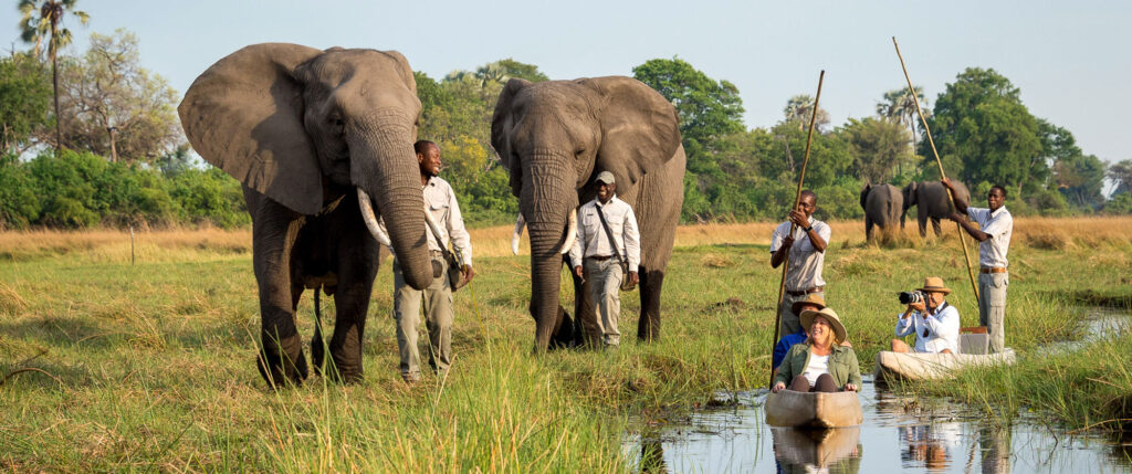 Best African Safari Countries | Botswana — The Luxury Wilderness