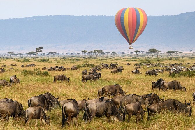 8 Days Luxury Serengeti & Zanzibar | Sunrise Hot-Air Balloon Safari & Afternoon Game Drive