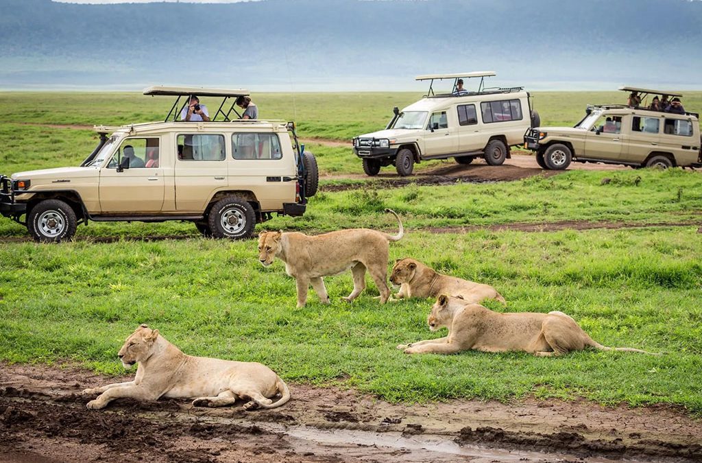 What Wildlife Will You See?