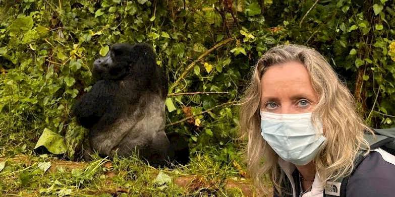 The Gorilla Permit: The Single Most Important Factor
