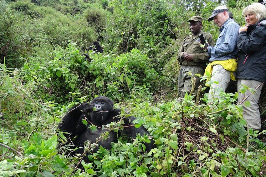Bwindi Gorilla Trekking Sector